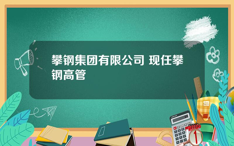 攀钢集团有限公司 现任攀钢高管